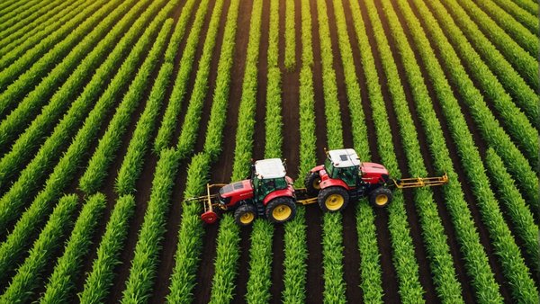 Gestionnaire d'actif agricole: boostez vos revenus avec l'agriculture régénérative